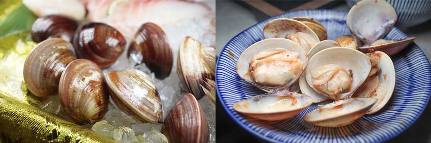 【東區頂級鍋物】『新肉多多台北忠孝店』近忠孝敦化站/鍋物界的卡地亞/享受高質感火鍋體驗/Google4.9顆星/平日不限時/聚餐首選餐廳 - 第31張圖 【東區頂級鍋物】『新肉多多台北忠孝店』近忠孝敦化站/鍋物界的卡地亞/享受高質感火鍋體驗/Google4.9顆星/平日不限時/聚餐首選餐廳